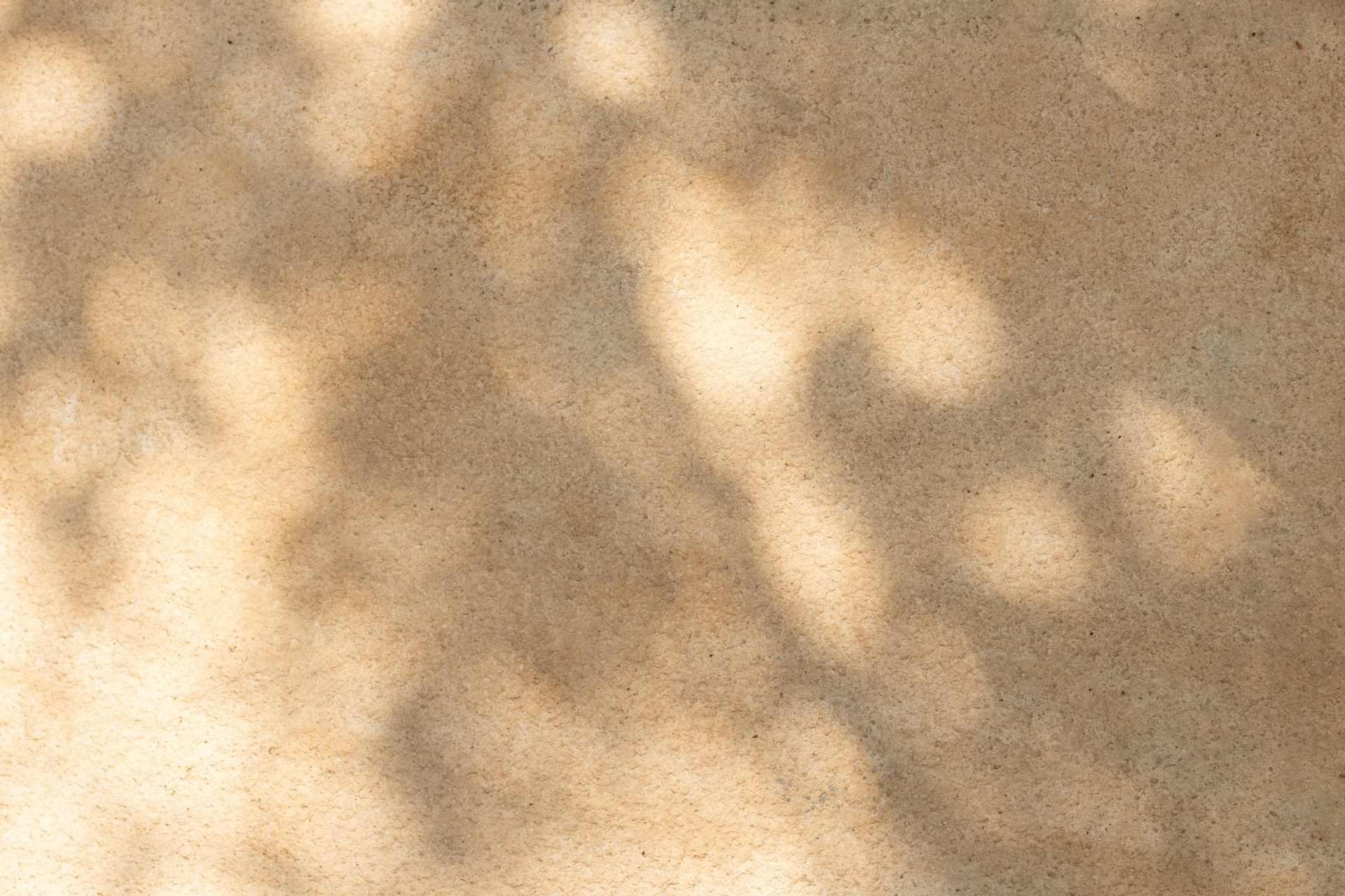 Soft natural shadows across a warm textured surface